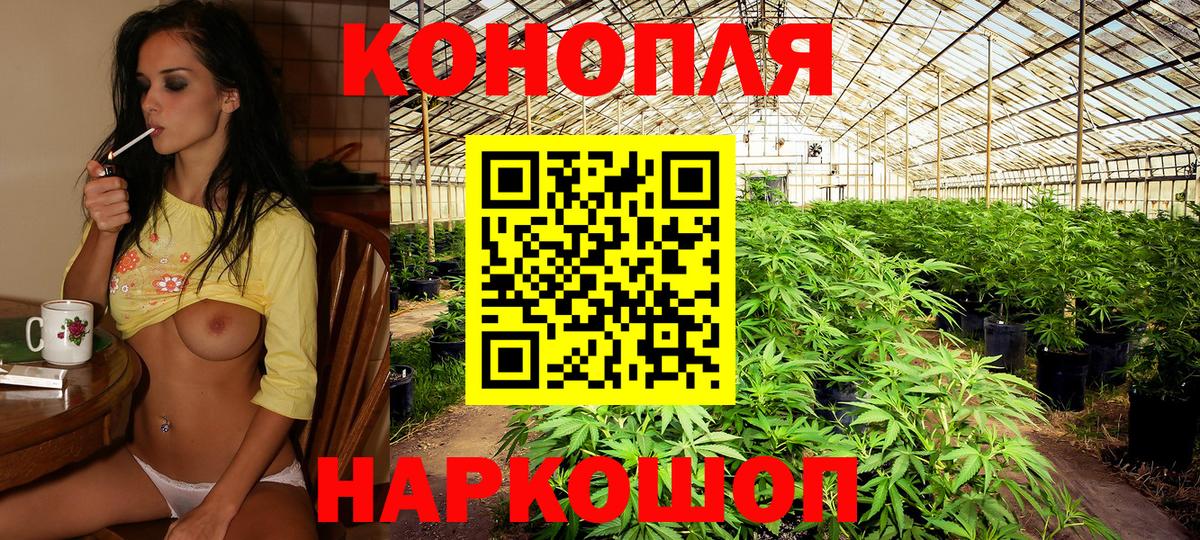 Каннабис гибрид  Конопля Ganja  Конопля семена  Североуральск  Марихуана LSD WEED  Вход с VPN 